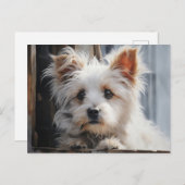 Niedliches weißes Hundportrait Postkarte (Vorne/Hinten)