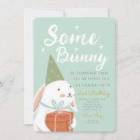 Niedliches Weißes Kaninchen Einige Sonne wird zum