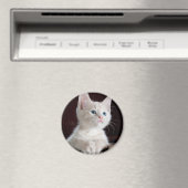 Niedliches weißes Kätzchen Magnet (In Situ (Geschirrspüler))