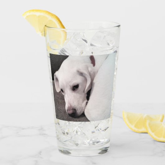 Niedliches weißes Labrador Retriever Mix Dog Glass Glas (Vorderseite Ice)