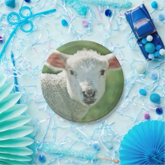 Niedliches weißes Lammporträt Pappteller (Party)