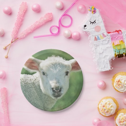 Niedliches weißes Lammporträt Pappteller (Party)