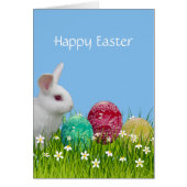 Niedliches Weißes Ostern Bunny & Painted Eggs (Vorne)
