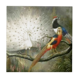 Niedliches weißes Pfaupaar-Fasan partying Fliese