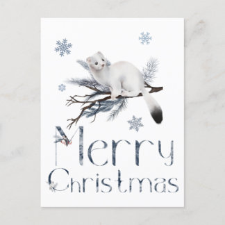 Niedliches Weißwaschtier auf einem Kiefernbaum Postkarte