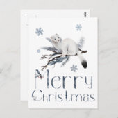 Niedliches Weißwaschtier auf einem Kiefernbaum Postkarte (Vorne/Hinten)