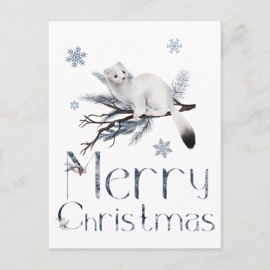 Niedliches Weißwaschtier auf einem Kiefernbaum Postkarte (Vorderseite)