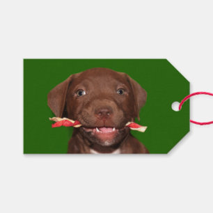 Niedliches Welpe Weihnachten Geschenkanhänger