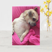 Niedliches Welpen-Hundetuckern im Rosa bedeckt Karte (Gelbe Blume)