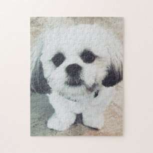 Niedliches Welpen-Puzzlespiel Shih Tzu - GROSSES Puzzle