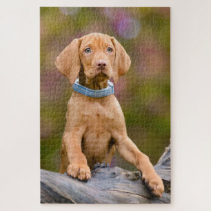 Niedliches Welpen-Ungarisches Vizsla-Hund-Welpen-F Puzzle