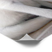 Niedliches Welpenposter Poster (Ecke)