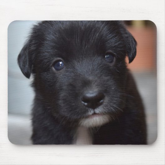 Niedliches Welpentier Mousepad (Vorne)