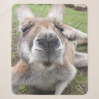 Niedliches Wetter Kangaroo Kawaii