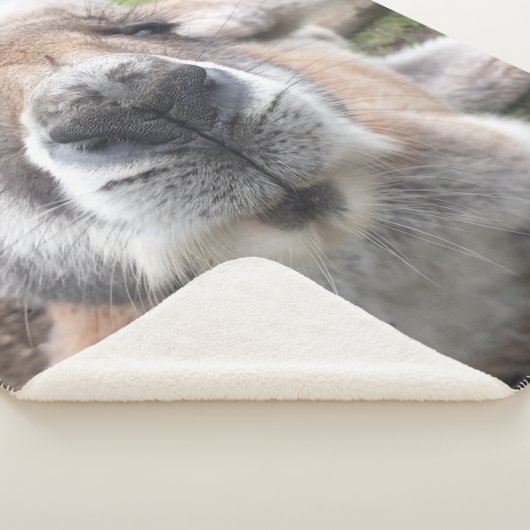 Niedliches Wetter Kangaroo Kawaii Sherpadecke (3/4)