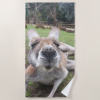 Niedliches Wetter Kangaroo Kawaii Tier