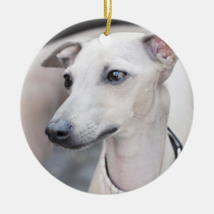 Niedliches Whippet Keramik Ornament