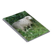Niedliches White Fluffy Sheep Eating Notebook Notizblock (Rechte Seite)