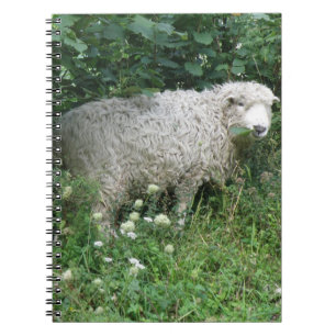 Niedliches White Fluffy Sheep Eating Notebook Notizblock