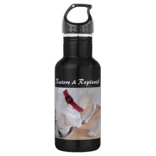 Niedliches White Labrador Mix Puppy Dog Drink Rest Edelstahlflasche