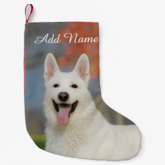 Niedliches White Swiss Shepherd Hund Foto - Name Kleiner Weihnachtsstrumpf