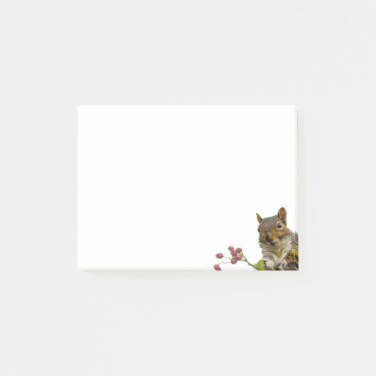 Niedliches Wildhörnchen auf Weiß Post-it Klebezettel (Vorderseite)