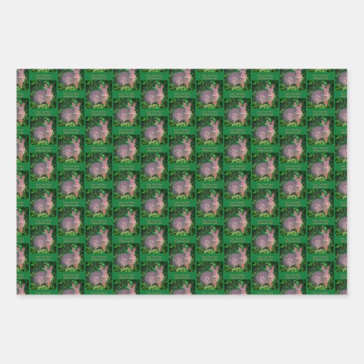 Niedliches Wildkaninchen Personalisiert Geschenkpapier Set (Vorderseite 3)