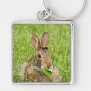Niedliches Wildkaninchen Schlüsselanhänger