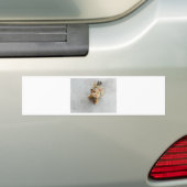Niedliches Wildkatzen Autoaufkleber (Auf Auto)