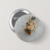 Niedliches Wildkatzen Button (Vorne & Hinten)