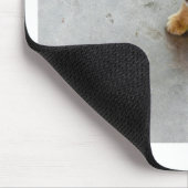 Niedliches Wildkatzen Mousepad (Ecke)