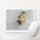 Niedliches Wildkatzen Mousepad (Mit Mouse)