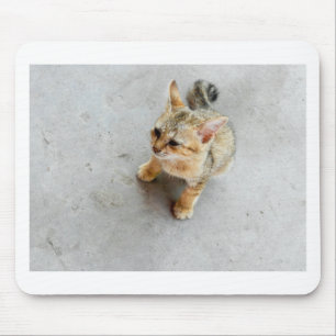 Niedliches Wildkatzen Mousepad