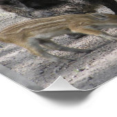 Niedliches Wildschwein-Quadrat-Poster Poster (Ecke)