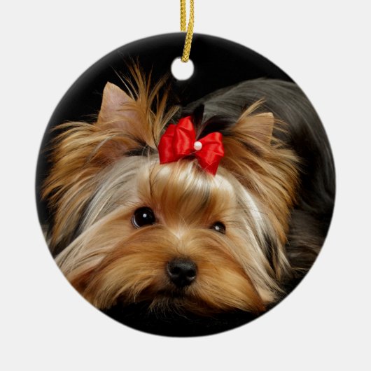 Niedliches yorkie keramik ornament (Vorne)