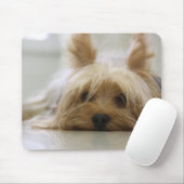 Niedliches Yorkie Mousepad (Mit Mouse)