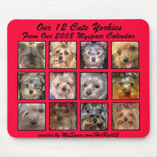 NIEDLICHES YORKIES 2008 KALENDER-(auf einem Mousepad (Vorne)