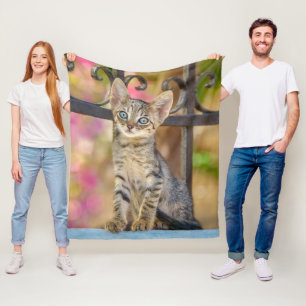 Niedliches Young Tabby Kitten mit blauen Augen in Fleecedecke