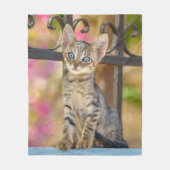 Niedliches Young Tabby Kitten mit blauen Augen in  Fleecedecke (Vorderseite)