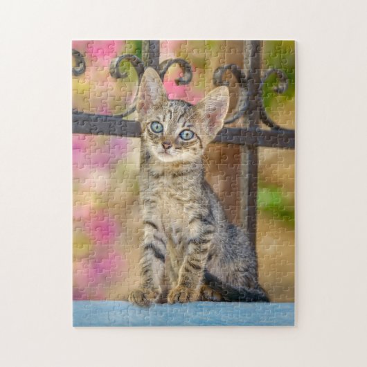 Niedliches Young Tabby Kitten mit blauen Augen in Puzzle (Vertikal)