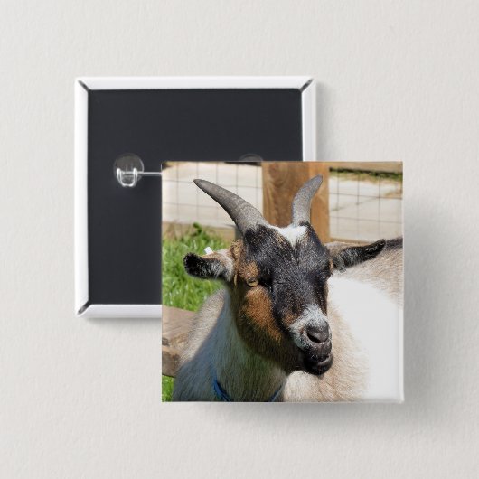 NIEDLICHES ZIEL BUTTON (Vorne & Hinten)