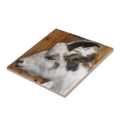 NIEDLICHES ZIEL FLIESE (Seite)