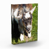 NIEDLICHES ZIEL FOTOBLOCK (Links)