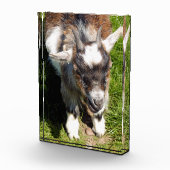 NIEDLICHES ZIEL FOTOBLOCK (Rechts)