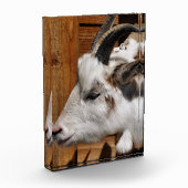 NIEDLICHES ZIEL FOTOBLOCK (Links)