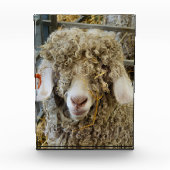 NIEDLICHES ZIEL FOTOBLOCK (Vorderseite)