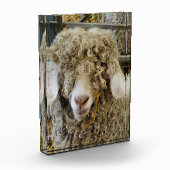 NIEDLICHES ZIEL FOTOBLOCK (Links)