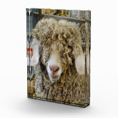 NIEDLICHES ZIEL FOTOBLOCK (Rechts)