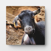 NIEDLICHES ZIEL FOTOPLATTE (Vorderseite)