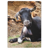 NIEDLICHES ZIEL KLEMMBRETT (Rückseite)